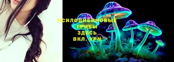 наркотики Каменка
