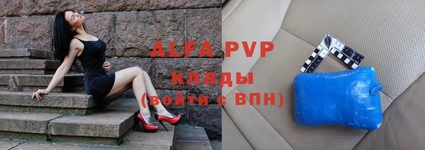 крисы Каменногорск