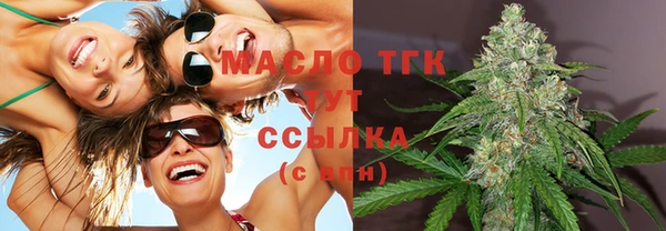 крисы Каменногорск