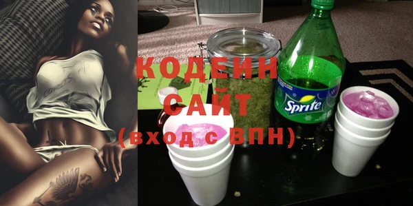 крисы Каменногорск